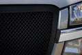 T-Rex Grilles auto part