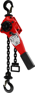 3 TON CHAIN HOIST WITH 20 FT CHAIN FALL