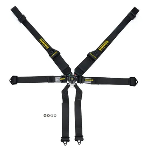 Harness 6pt Profi II SFI Hans Black