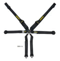 Harness 6pt Profi II SFI Hans Black