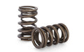 Kelford VR38DETT DRAG SPRING KIT