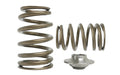 Kelford VR38DETT DRAG SPRING KIT