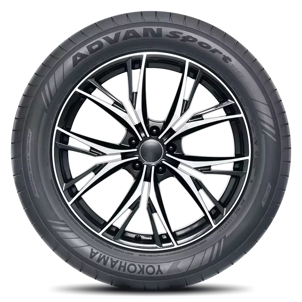 295/25ZR21 (96Y) XL V107E