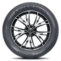295/25ZR21 (96Y) XL V107E