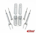 Eibach shock absorber