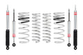 Eibach lift kit