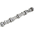 GM LS Roller Camshaft