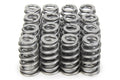 1.290 Valve Springs - Ovate Beehive (16)