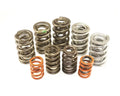 1.530in Valve Springs