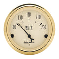 AutoMeter gauge detail