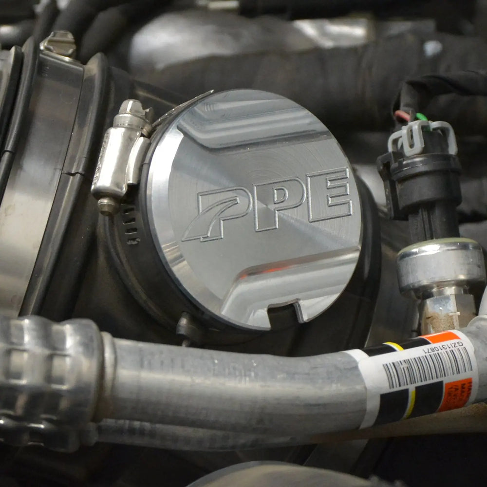 Resonator Delete Plug L5P