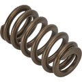1.290 Valve Spring - Ovate Beehive (1)