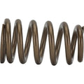 1.290 Valve Spring - Ovate Beehive (1)