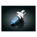 Kuryakyn Super White H-4 60/55W Bulb
