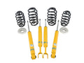 Bilstein B12 2002 Audi A4 Quattro Base Front and Rear Suspension Kit