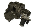 STANDARD IGN exhaust