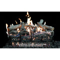 30IN LAVA FRT VIEW PROPANE VARIABLE ELECTRONIC IGNITION BURNER W/GLOWFIRE LOGS;M