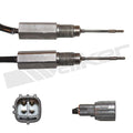 Expansion Plug