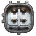 Expansion Plug