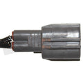 Expansion Plug