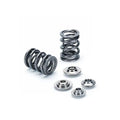Supertech VW/Audi 2.7T 30V 6cyl Single & Dual Valve Spring Kit