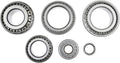 BEARING & SEAL KIT