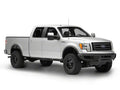 Body Armor 4x4 09-14 Ford F150 Eco Series Front Bumper