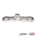 Bully Dog exhaust detail