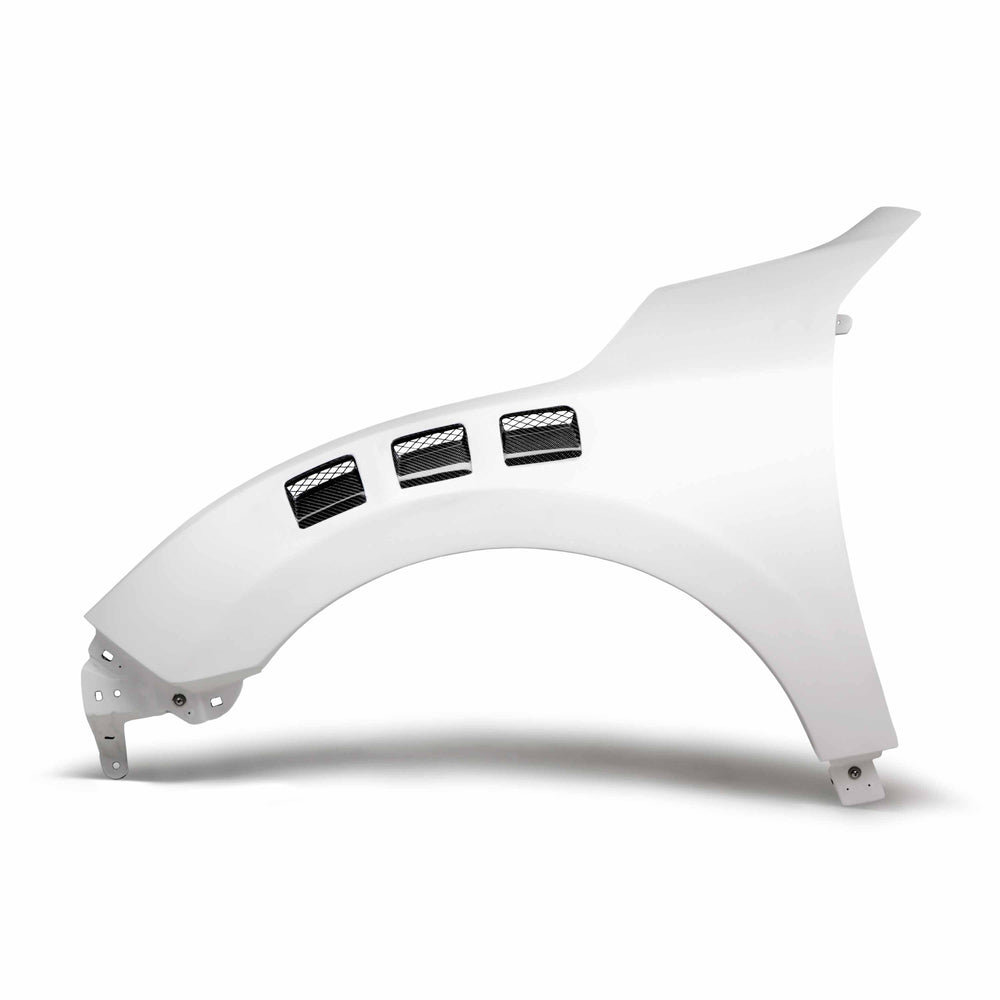 FENDERS (PAIR)
