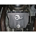 aFe auto part installed view