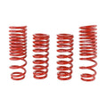 Skunk2 Racing springs detail
