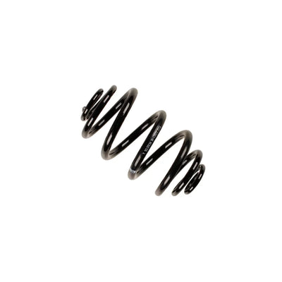 Bilstein springs