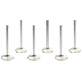 Manley Performance exhaust