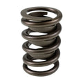 COMP Cams springs