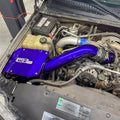 Wehrli intake system