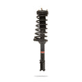 Pedders shock absorber