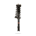 Pedders shock absorber