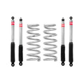 Eibach shock absorber