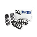 H&R springs
