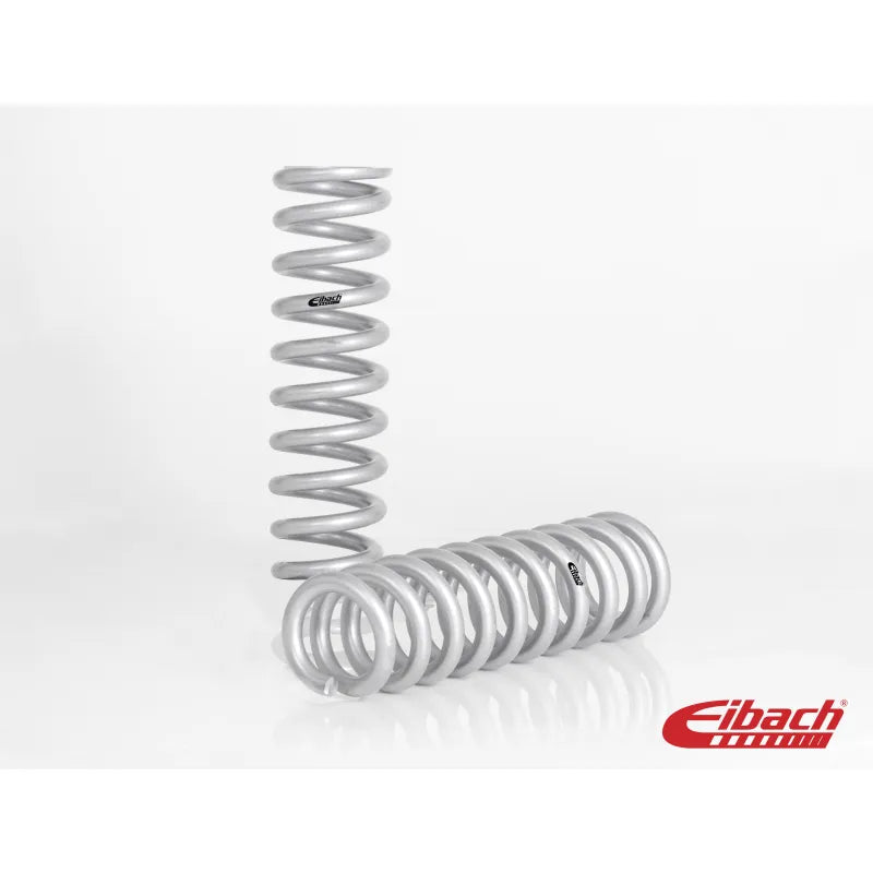 Eibach shock absorber