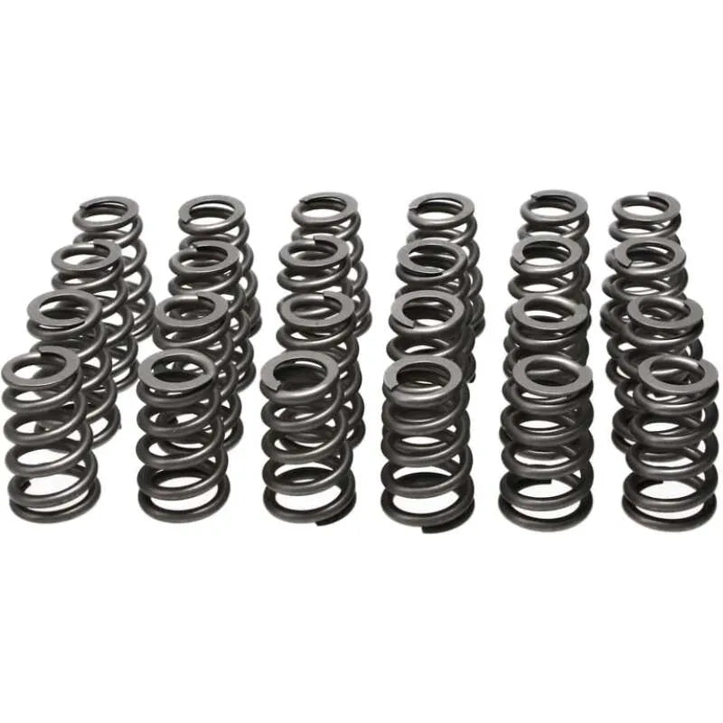 Manley Performance springs