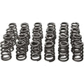 Manley Performance springs