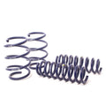H&R springs