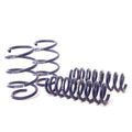 H&R springs detail
