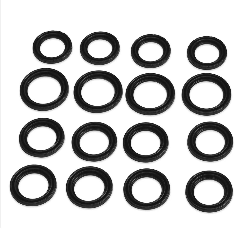 Dust Seal Kit, RS+ Calipers,B9