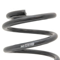 Springs, Set, 8V S3