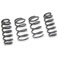 Springs, Set, 8V.5 RS3