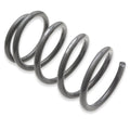 Springs, Set, 8V.5 RS3
