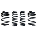 Spring Set, 8V A3/S3 - Non-Mag