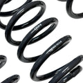 Springs, Set, B8 A5/S5